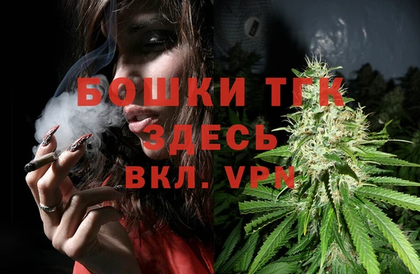 винт Абаза