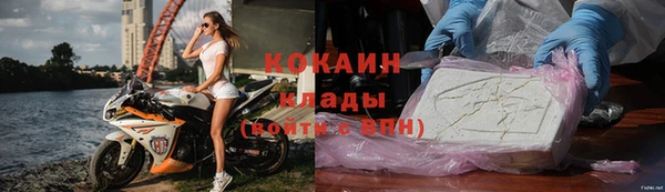 винт Абаза