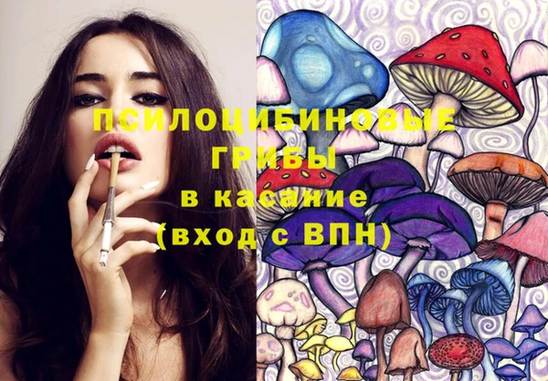хмурый Покачи