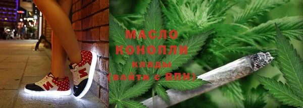 винт Абаза