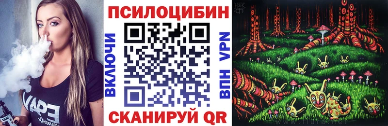 наркотики  Вытегра  Псилоцибиновые грибы мицелий 